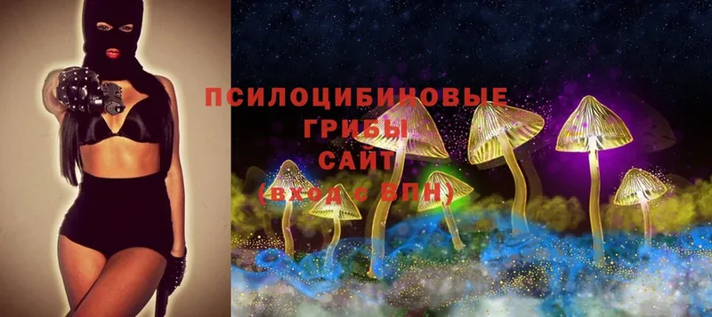 Галлюциногенные грибы Psilocybine cubensis Ялуторовск